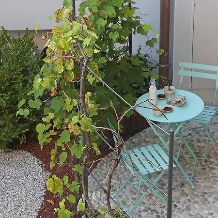 Dos Del Sul - Vinaccia